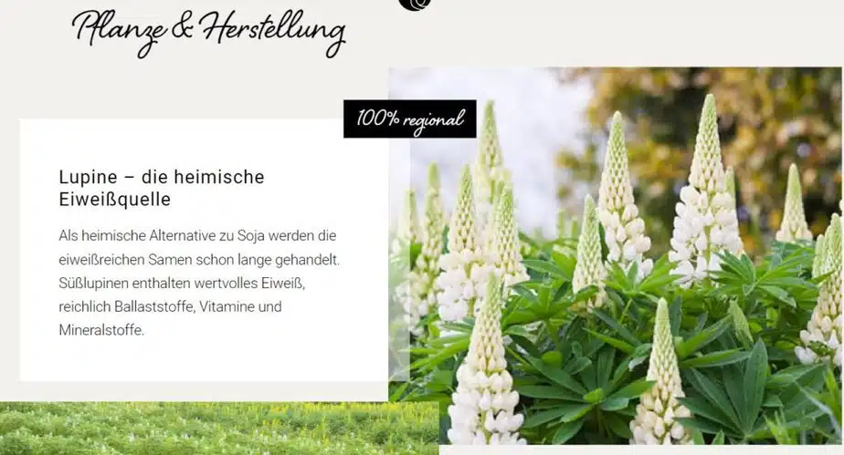 Lupinenkaffee INFO3