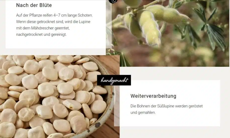 Lupinenkaffee Info