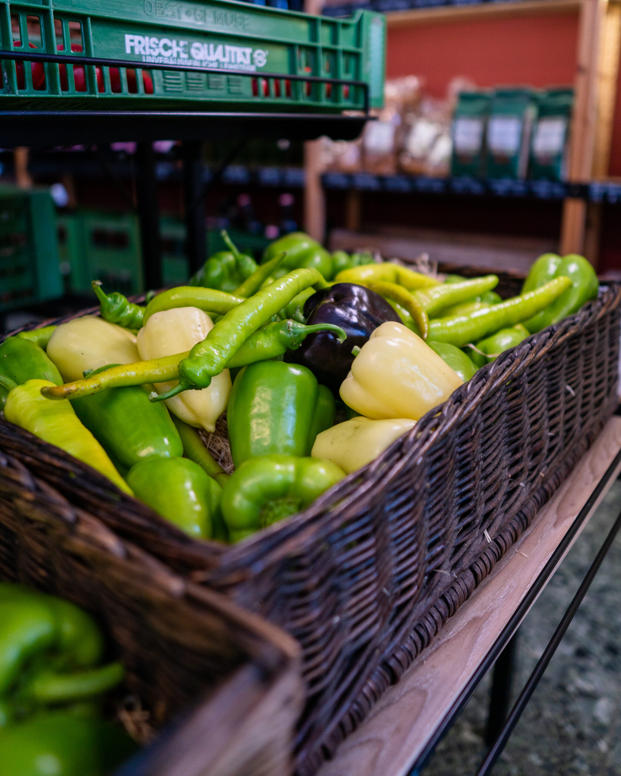 Paprika frisch vom Feld