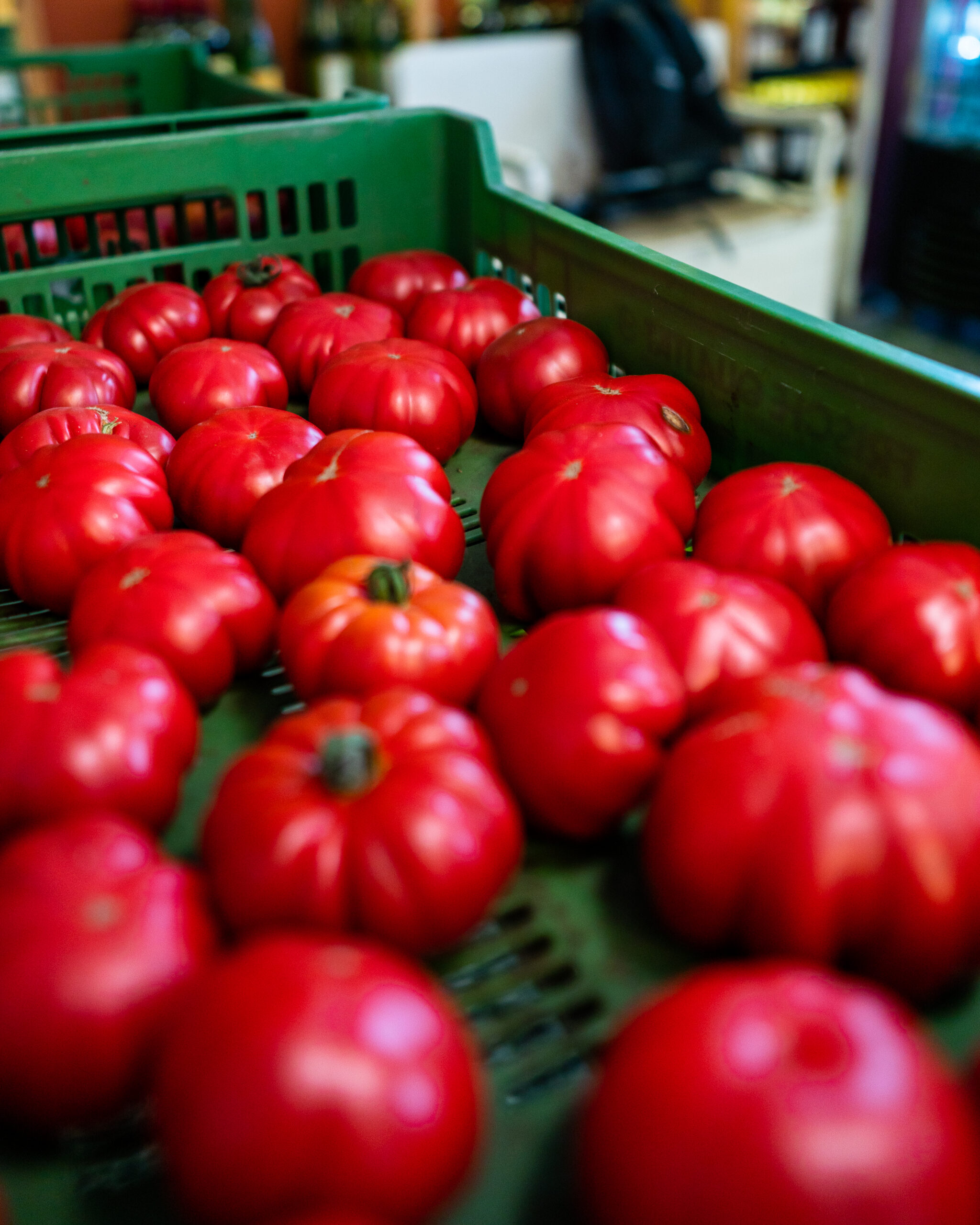 Tomaten aus dem Burgenland