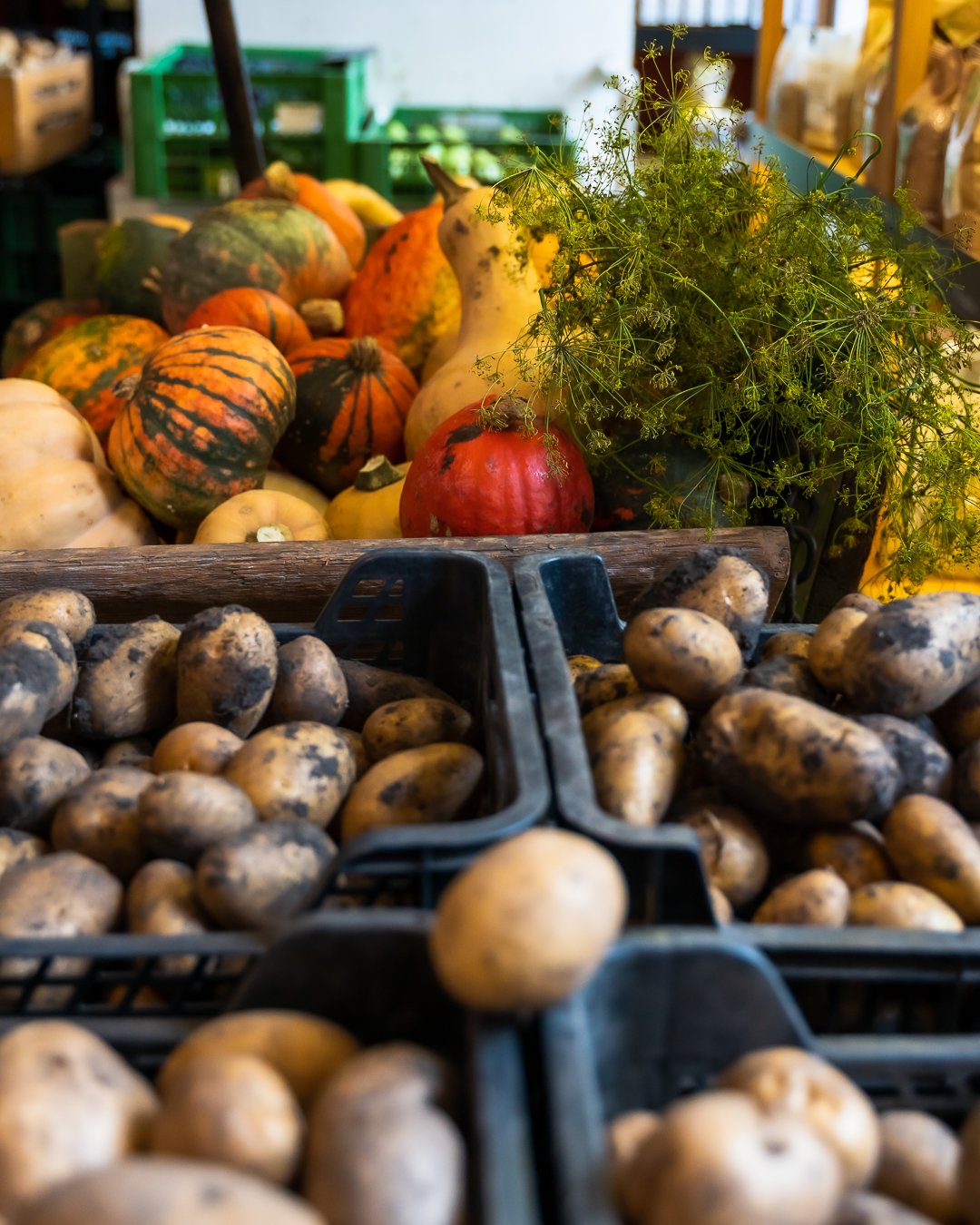 Kürbisse und Erdäpfel im Bauernladen Helene