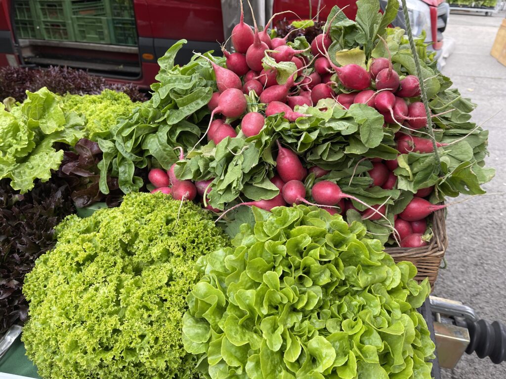 Radieschen und Salat am Naschmarkt
