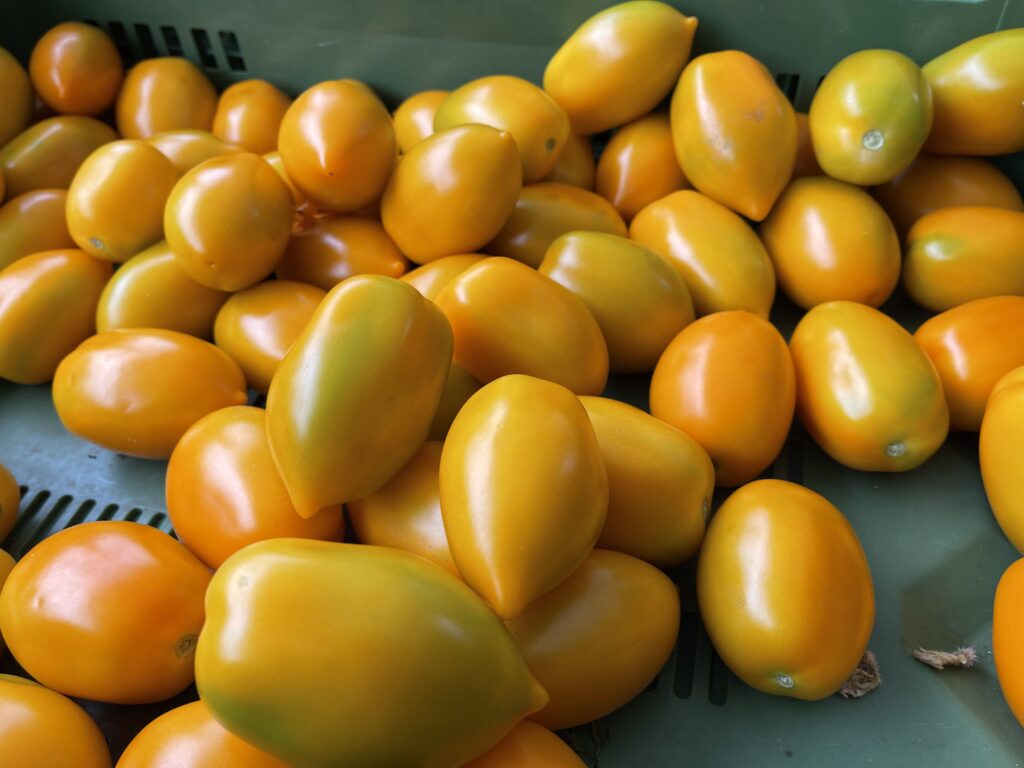 Gelbe Tomaten am Naschmarkt