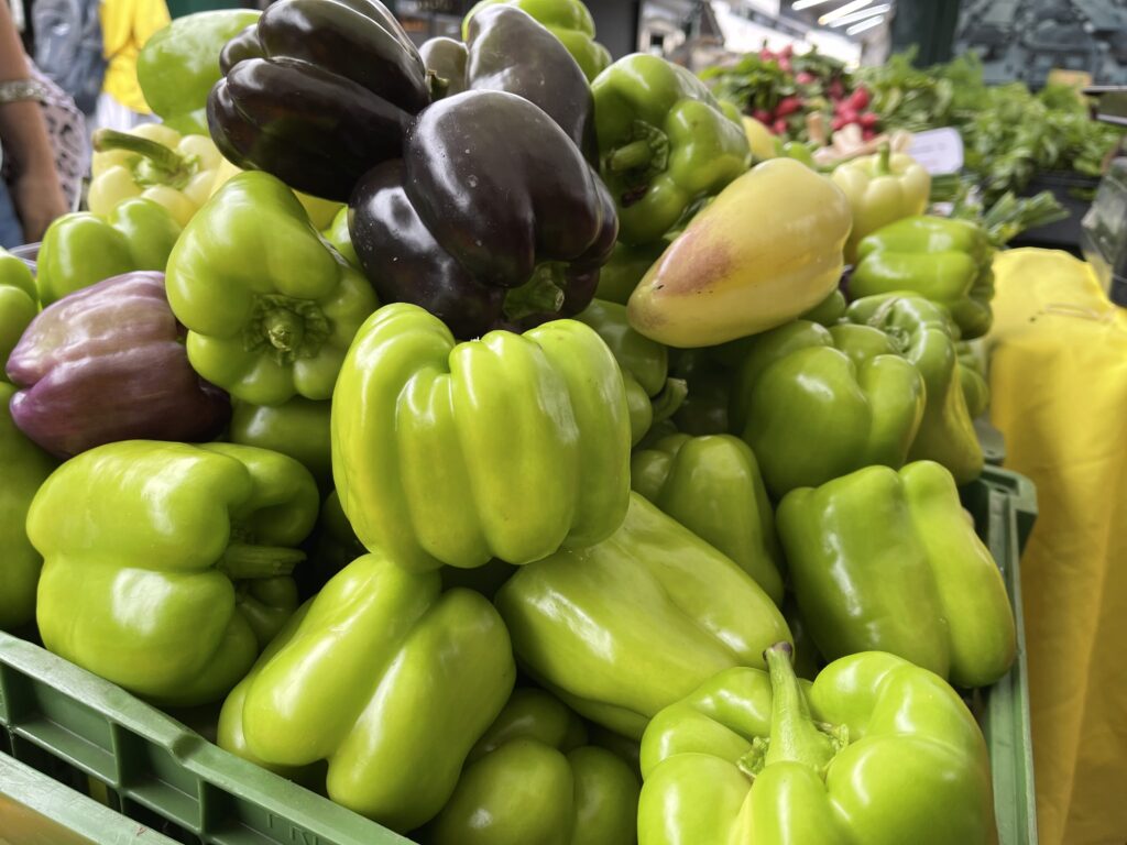 Grüne und violette Paprika