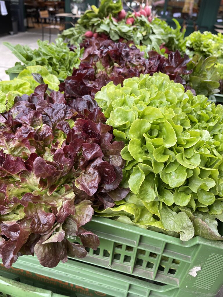 Bunte Blattsalate am Stand von Bauernladen Helene