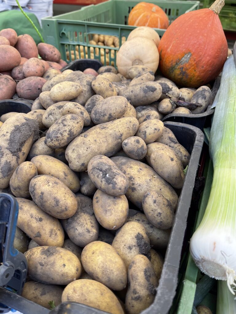 Erdäpfel, Kürbis und Lauch am Stand