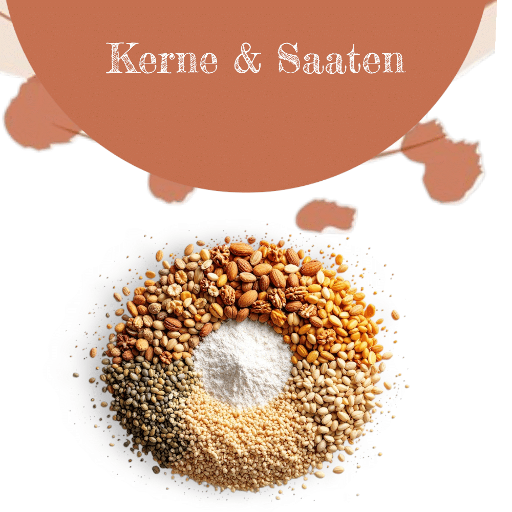 Kerne & Saaten