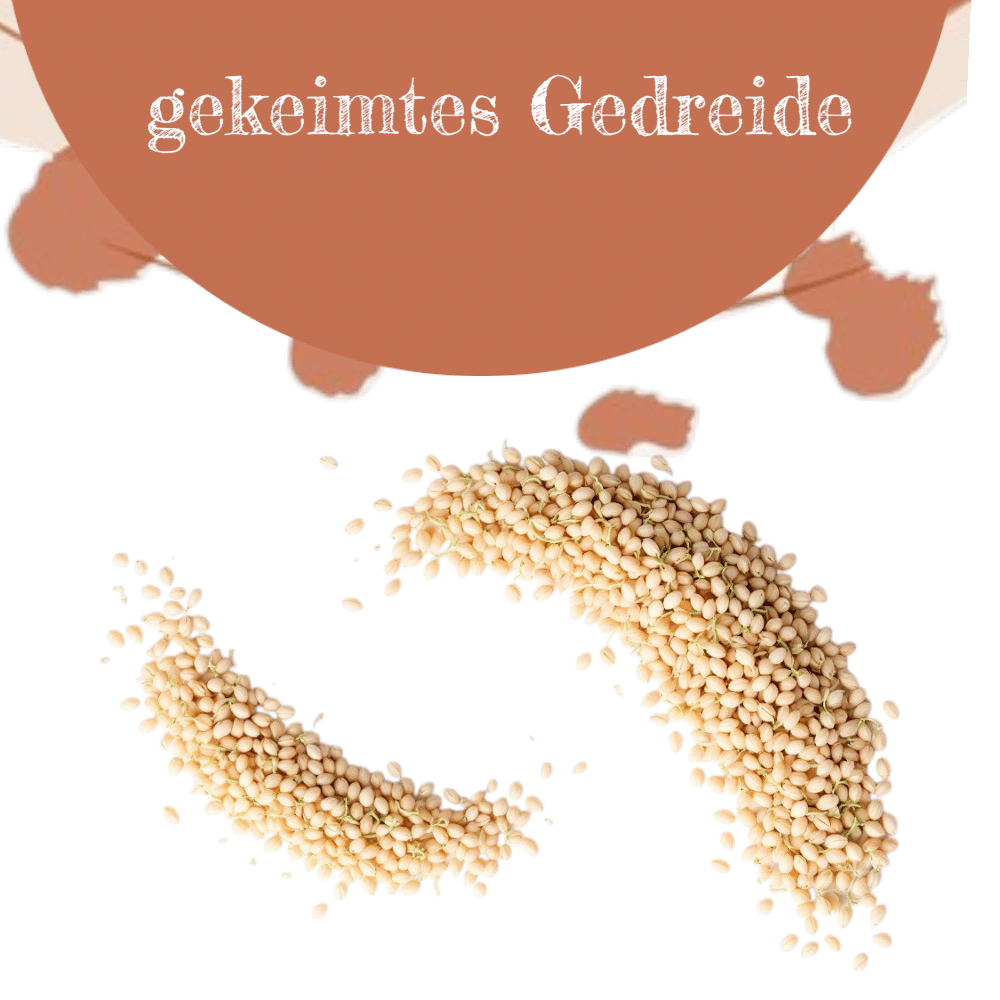 Gekeimtes